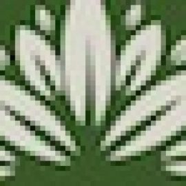 msapplication-TileImage