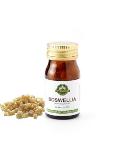 Boswellia CarterII