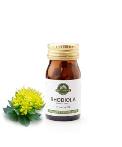 Rhodiola
