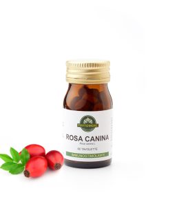 Rosehip