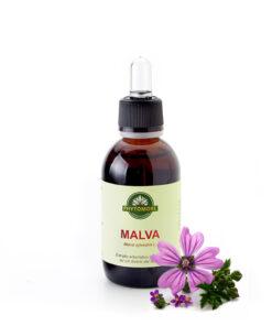 Malva T.M