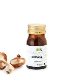 Shiitake