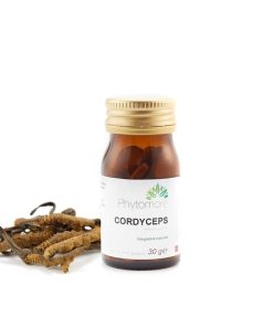 Cordyceps