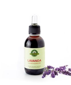 Lavanda T.M.
